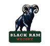 BLACK RAM Logo