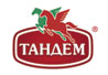 ТАНДЕМ logo